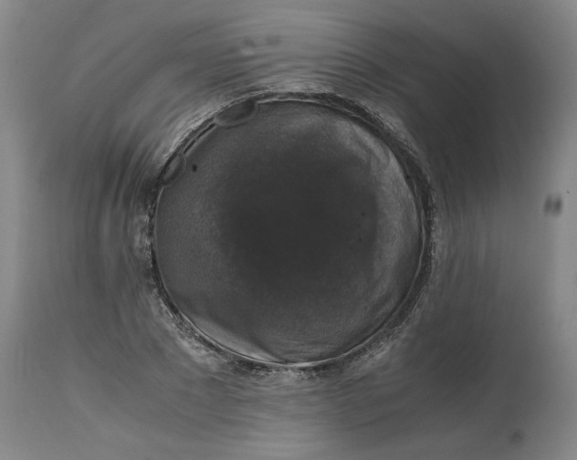 X0000114660881200911101340