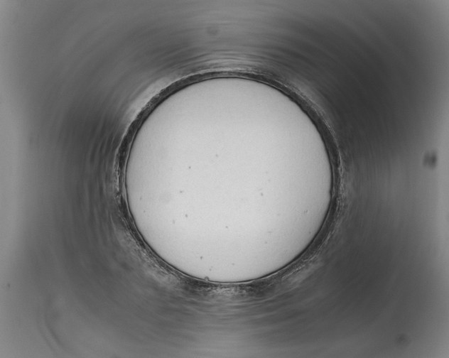 X0000114660883200911101340