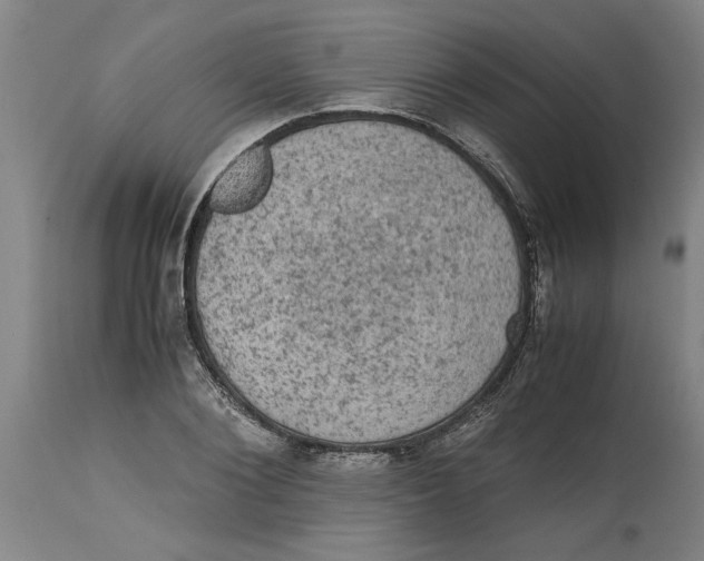 X0000114660884200911101340