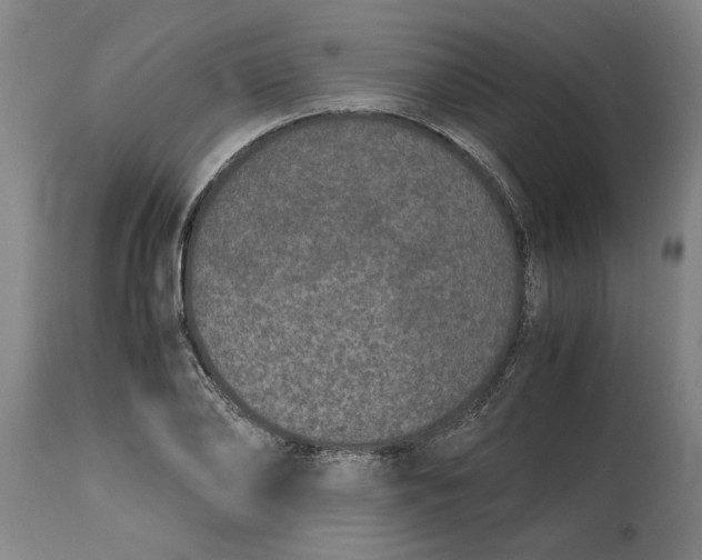 X0000114660886200911101340