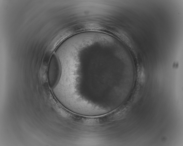 X0000114660889200911101340