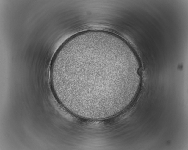 X0000114660891200911101340