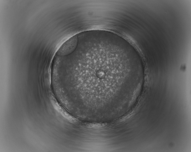 X0000114660892200911101340