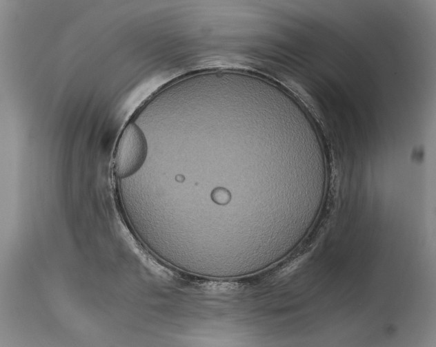 X0000114660893200911101340