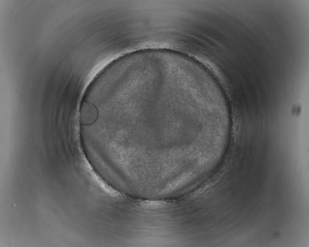 X0000114660894200911101340