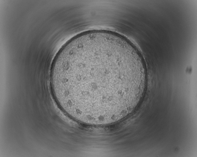 X0000114660895200911101340