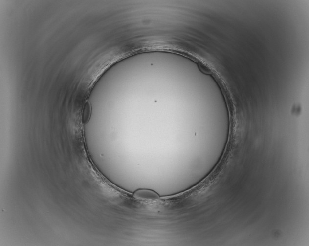 X0000114660897200911101340