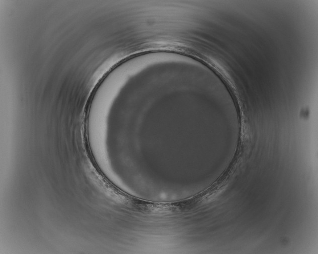 X0000114660899200911101340