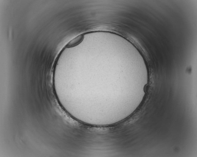 X0000114660900200911101340