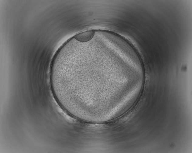 X0000114660902200911101340