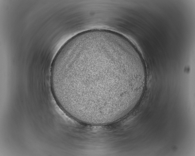 X0000114660903200911101340