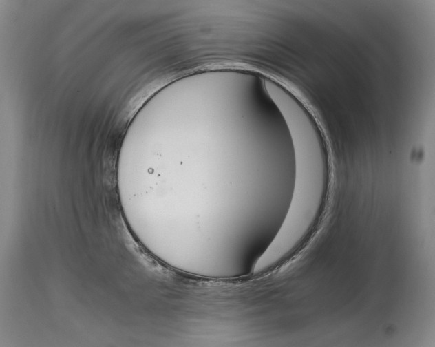 X0000114660905200911101340