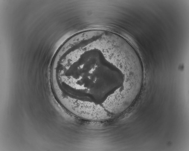 X0000114660907200911101340