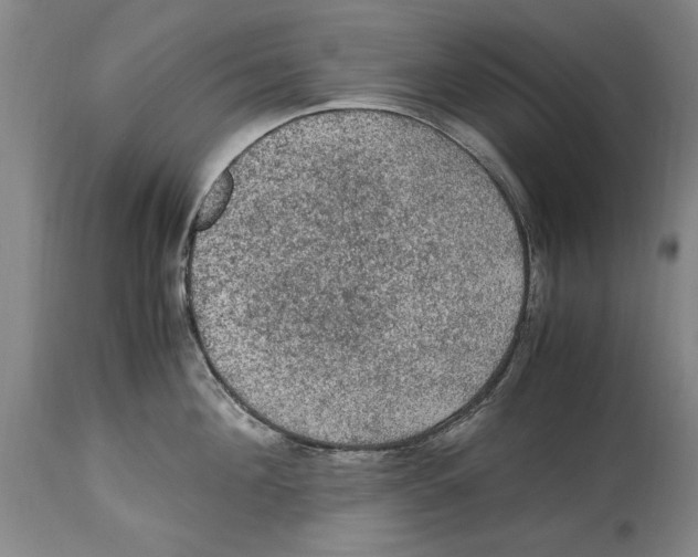 X0000114660908200911101340