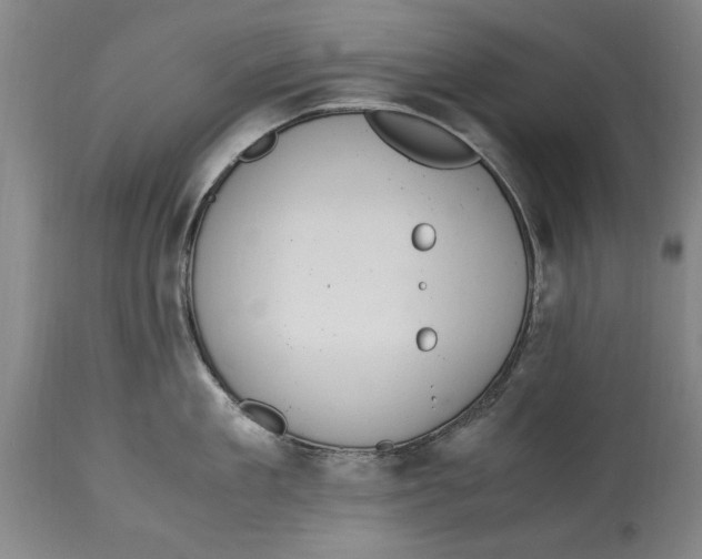 X0000114660909200911101340