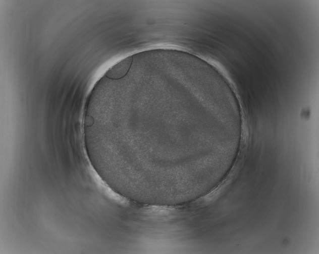 X0000114660910200911101340