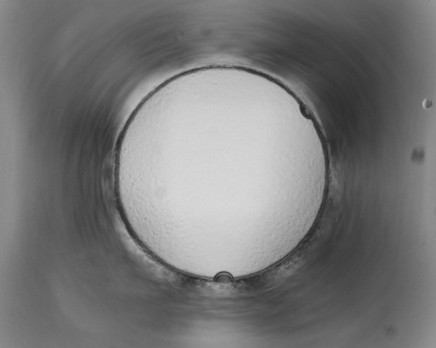 X0000114660911200911101340