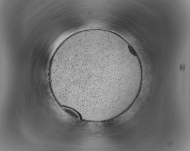 X0000114660912200911101340