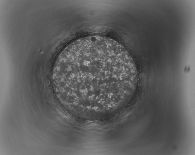 X0000114660913200911101339