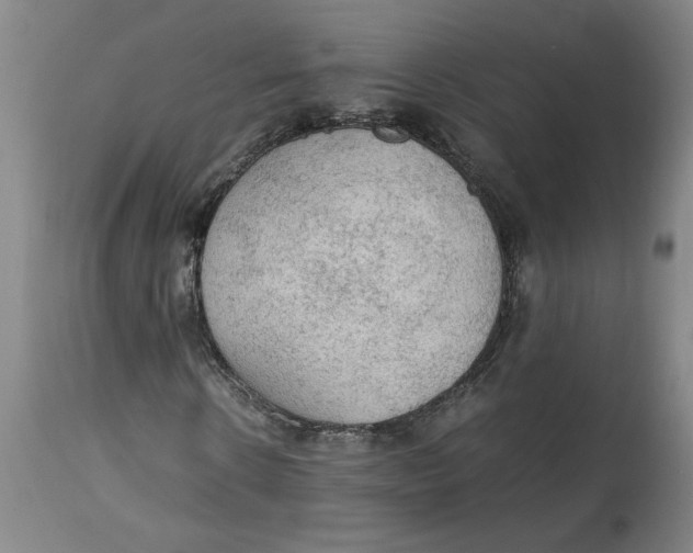 X0000114660914200911101339