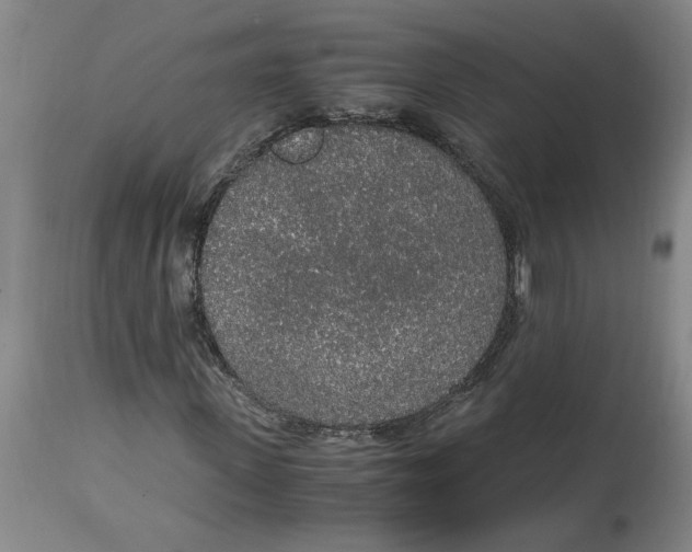 X0000114660915200911101339