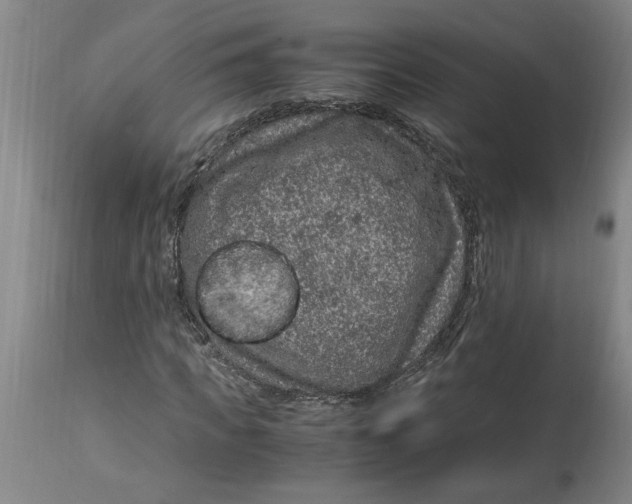 X0000114660917200911101339