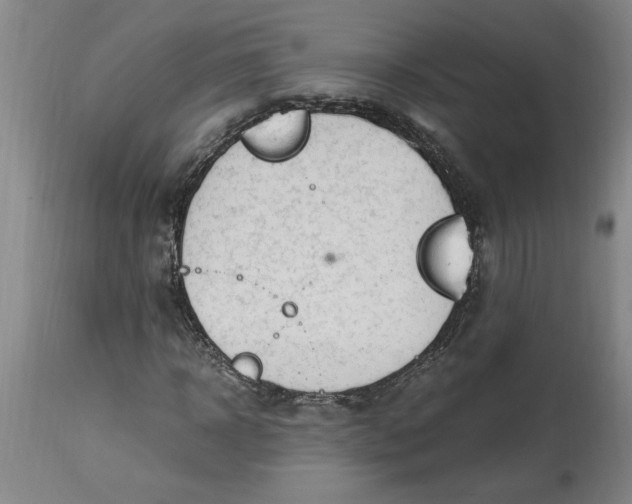 X0000114660918200911101339