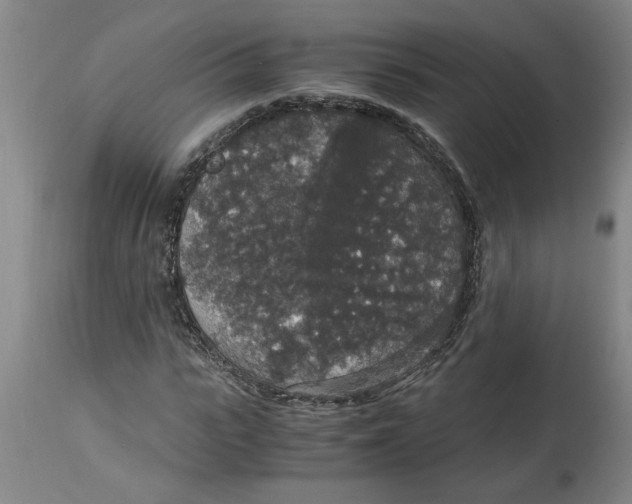 X0000114660919200911101339