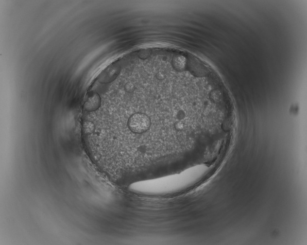 X0000114660921200911101339