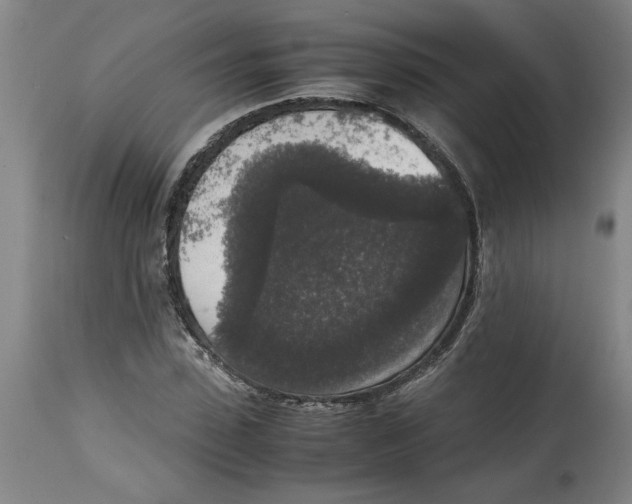 X0000114660923200911101339