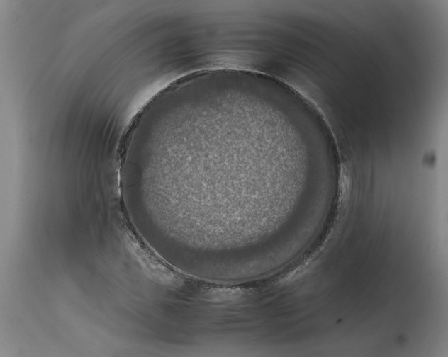 X0000114660925200911101339