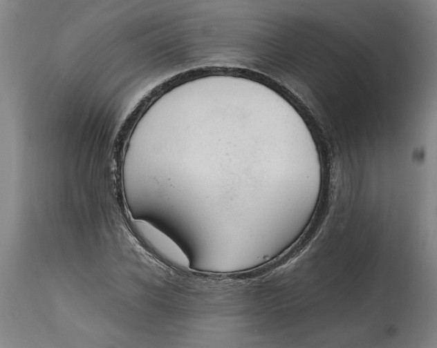 X0000114660926200911101339