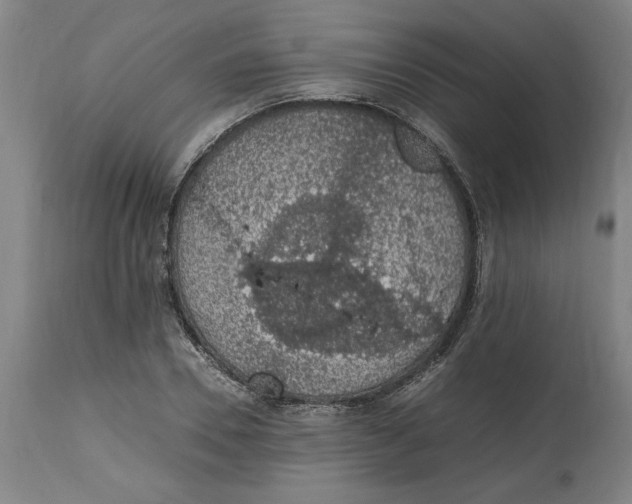 X0000114660930200911101339