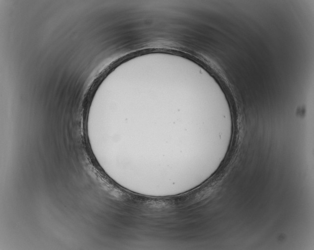 X0000114660931200911101339