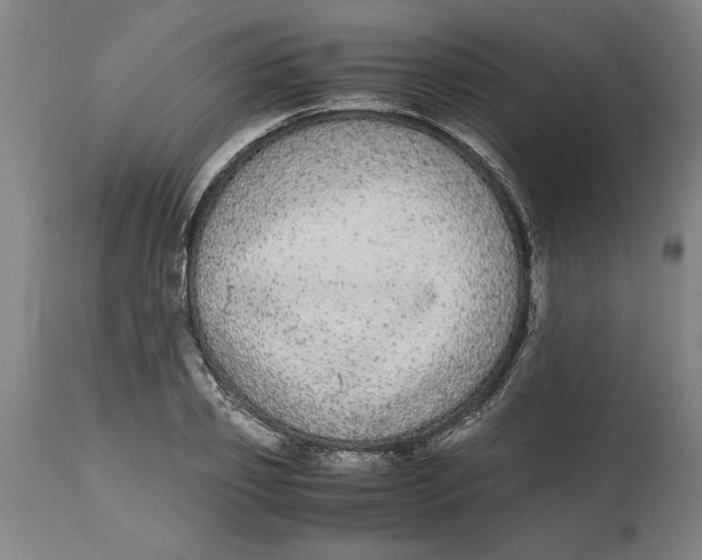 X0000114660933200911101339