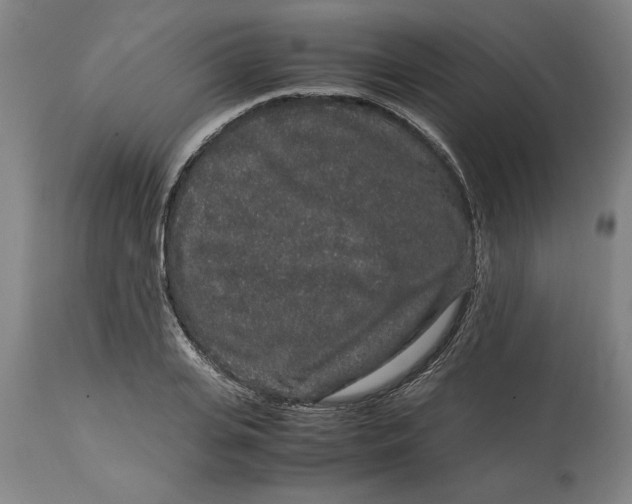 X0000114660935200911101339