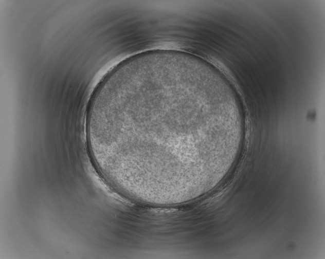 X0000114660939200911101340