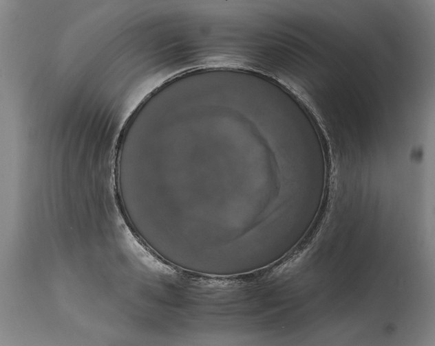 X0000114660941200911101340