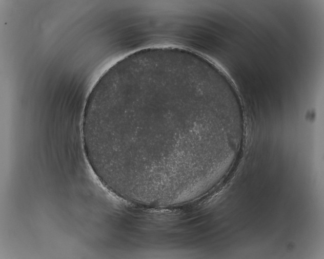 X0000114660943200911101340