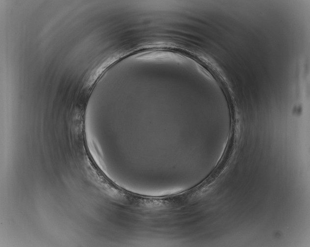 X0000114660945200911101340