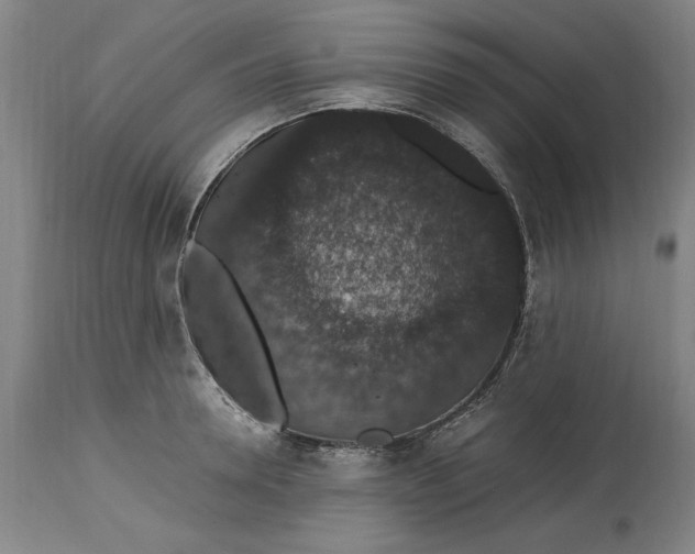 X0000114660946200911101340