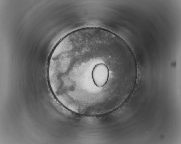 X0000114660950200911101340