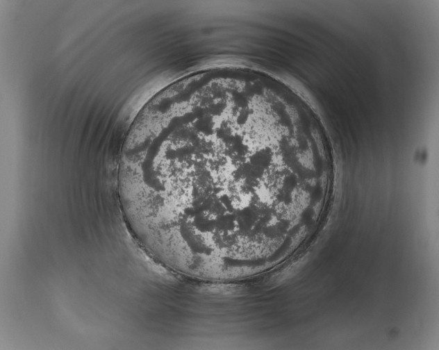 X0000114660953200911101340