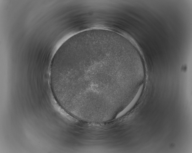 X0000114660955200911101340