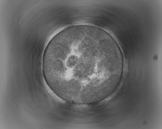 X0000114660957200911101340