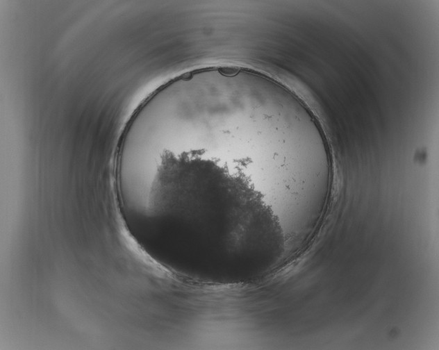 X0000114660958200911101340