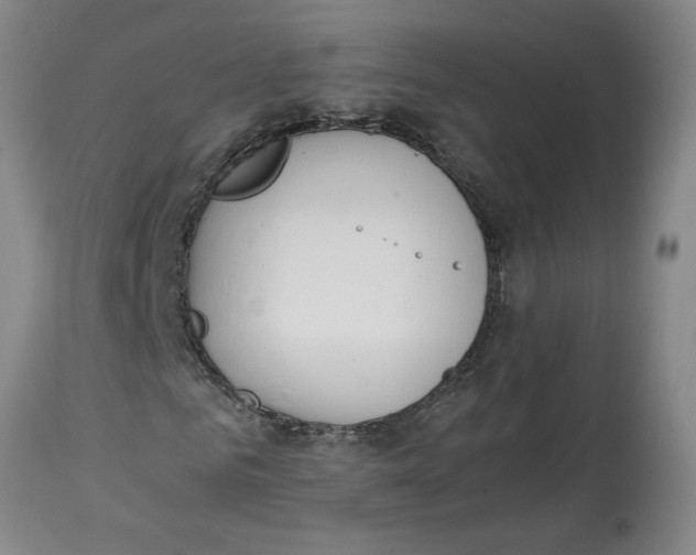 X0000114660961200911101339