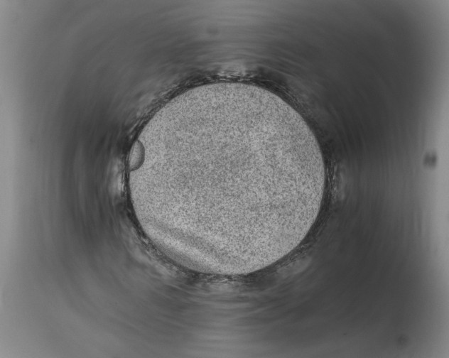 X0000114660962200911101339