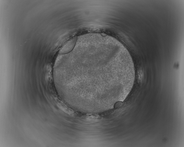 X0000114660964200911101339