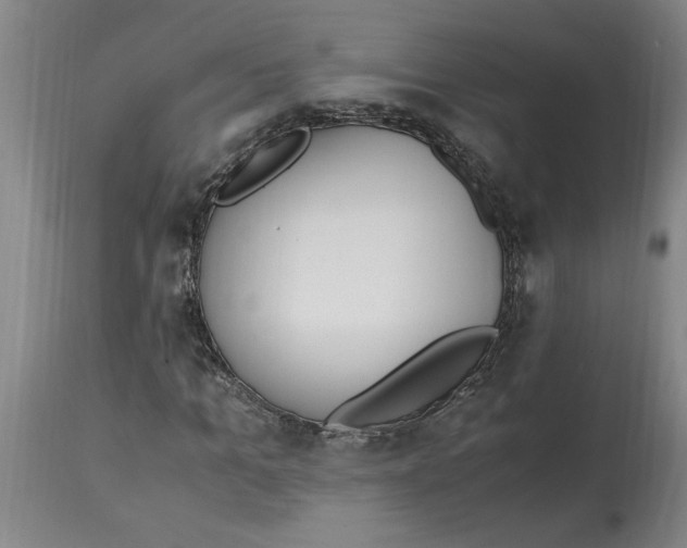 X0000114660965200911101339